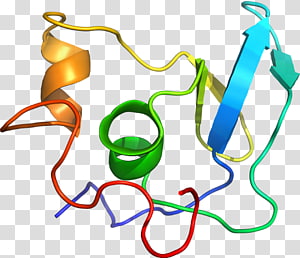 Line Point , line transparent background PNG clipart thumbnail