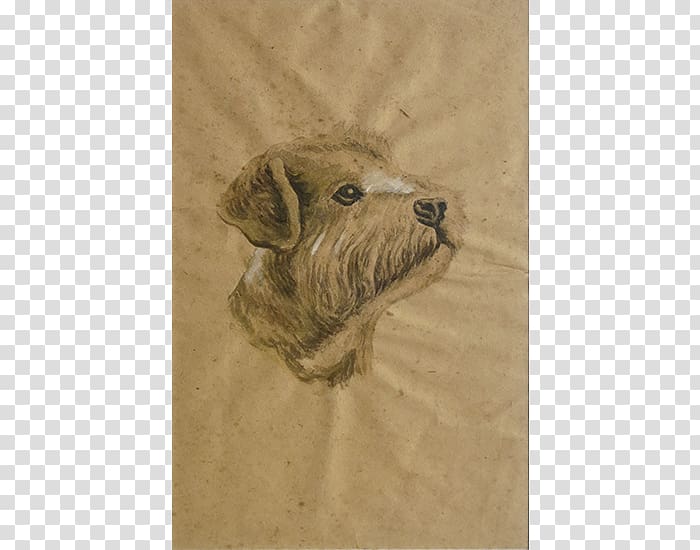 Dog breed Snout Crossbreed, Dog transparent background PNG clipart