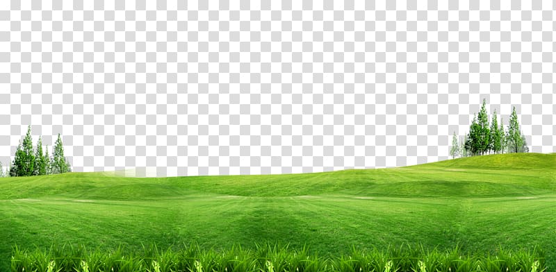 green grass field, Lawn Gratis , Green grass background free of material transparent background PNG clipart