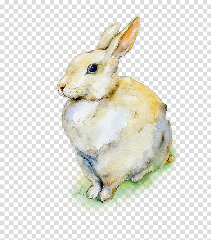 Holland Lop Easter Bunny Watercolor painting Rabbit, rabbit transparent background PNG clipart