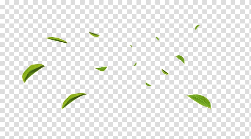 Copyright, Free to pull the material falling leaves transparent background PNG clipart