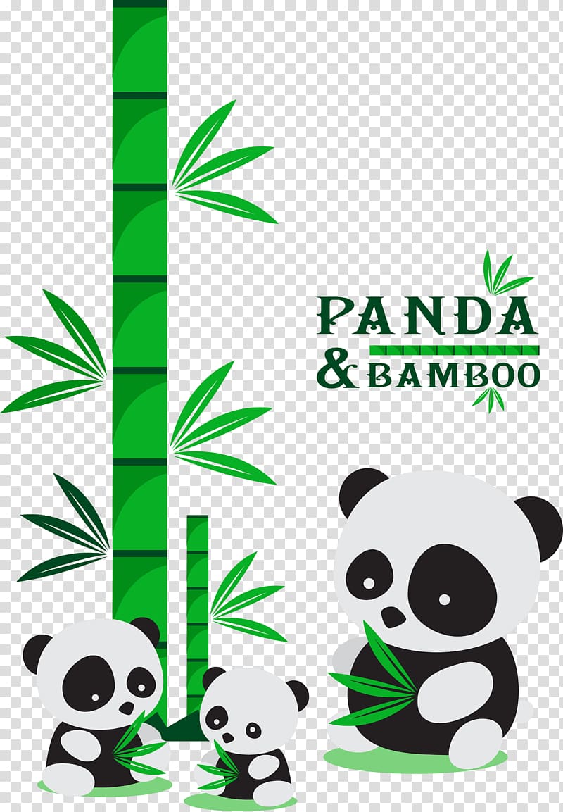 Giant panda Green Bamboo Illustration, Panda bamboo transparent background PNG clipart