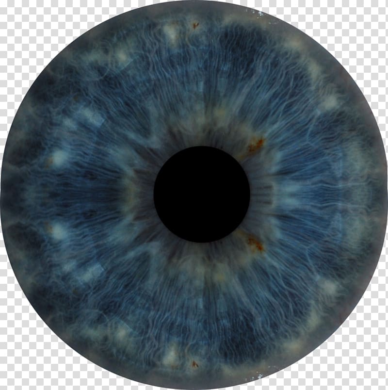 Human eye Iris, anatomy transparent background PNG clipart