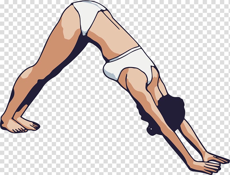 Yoga Adho mukha u015bvu0101nu0101sana Fitness centre Visual arts, Yoga people transparent background PNG clipart