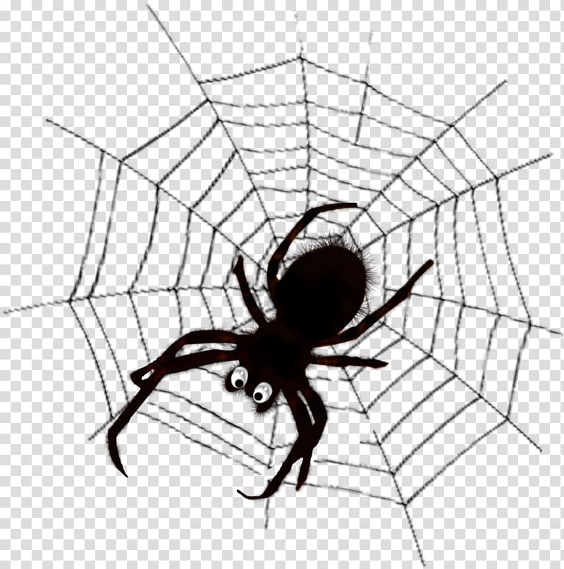 Widow spiders Spider web Black and white , spider transparent background PNG clipart