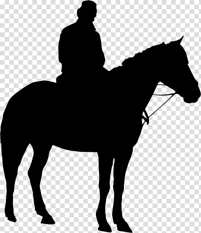 American Quarter Horse Equestrian Silhouette , horse riding transparent background PNG clipart