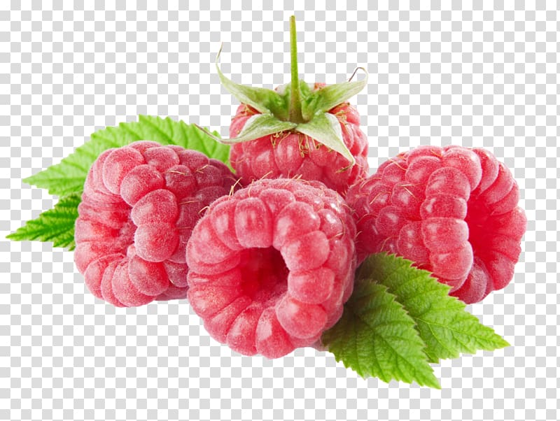 Raspberry Fruit , raspberry transparent background PNG clipart