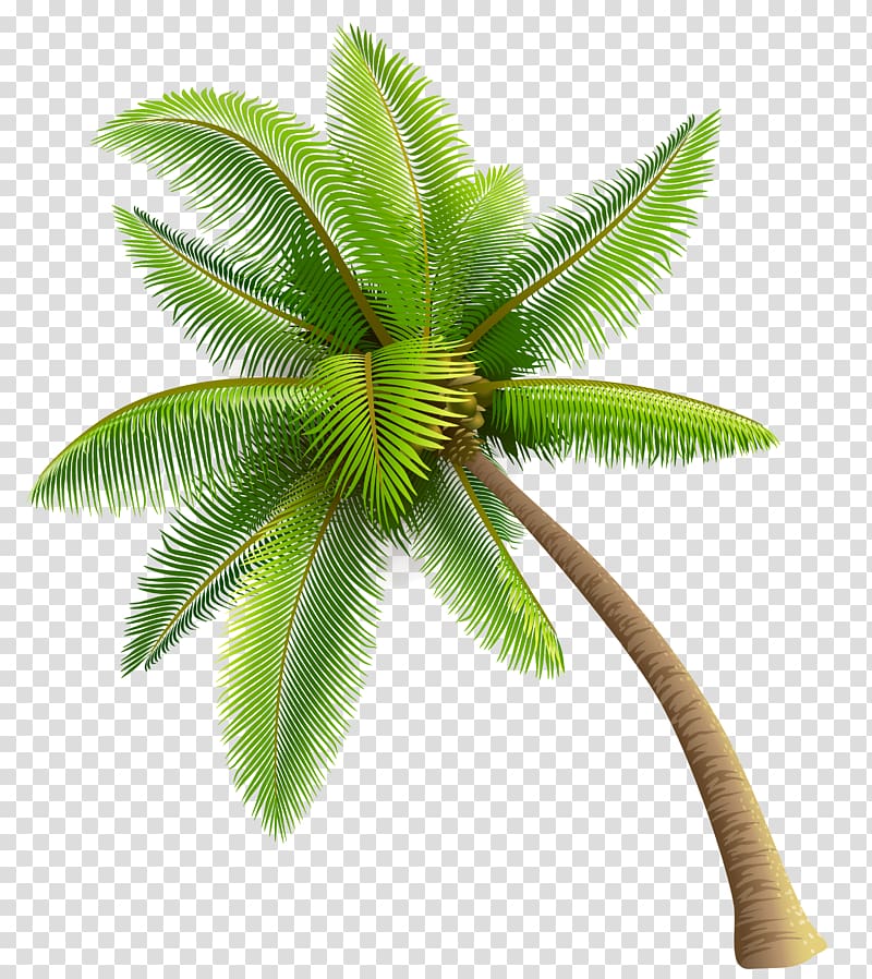 Need Somebody (feat. Tory Lanez) ZoLo Spotify Song, Palm Tree transparent background PNG clipart