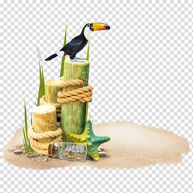 toucan on tree illustration, Playa de la Arena Beach Bottle, Beach elements,Beach lace transparent background PNG clipart