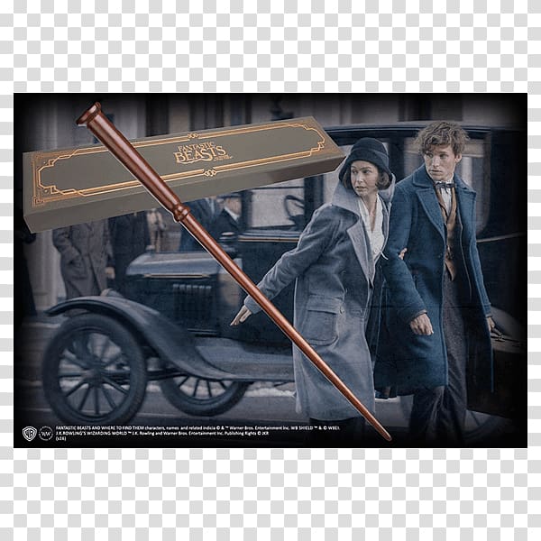 Newt Scamander Fantastic Beasts and Where to Find Them Film Series Fictional universe of Harry Potter, Harry Potter transparent background PNG clipart