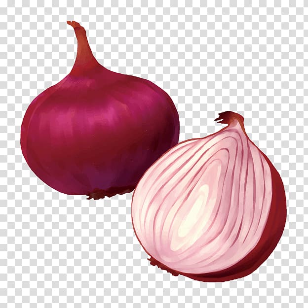 Shallot Yellow onion Vegetable Food Red onion, vegetable transparent background PNG clipart