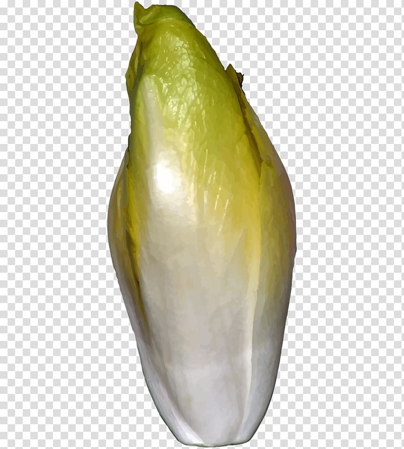 Belgian cuisine Endive Chicory Vegetable, Earlyonset Alzheimer's Disease transparent background PNG clipart