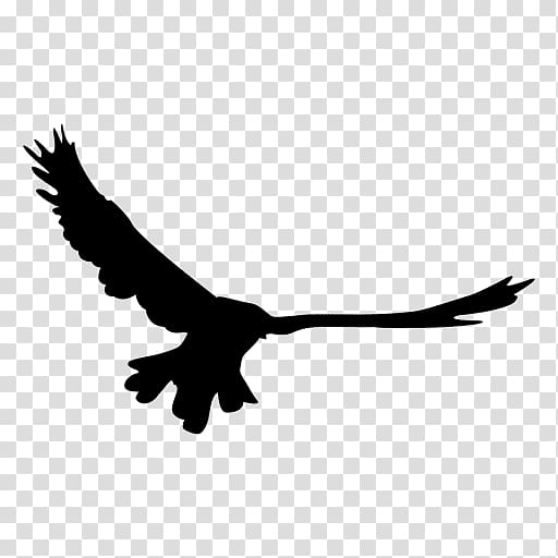 Bird Bald Eagle , flying bird transparent background PNG clipart