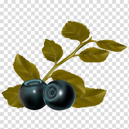 Blueberry Leaf Fruit, Cartoon blueberries transparent background PNG clipart