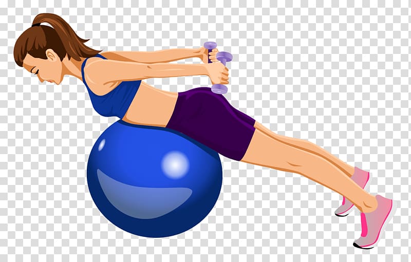 Exercise Balls Yoga & Pilates Mats Medicine Balls, Belly Fat transparent background PNG clipart