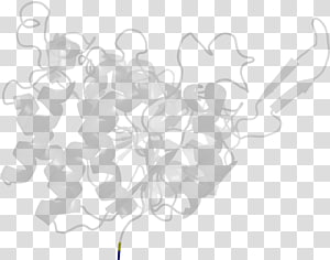 White Line , line transparent background PNG clipart thumbnail