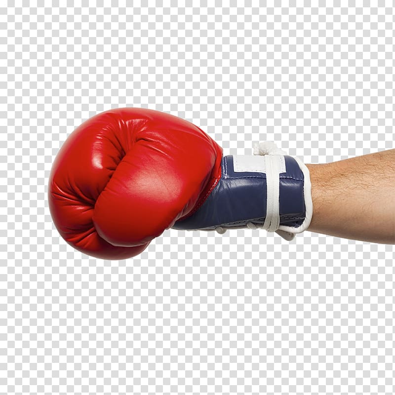 Boxing glove Everlast, Boxing transparent background PNG clipart