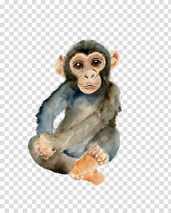monkey transparent background PNG clipart