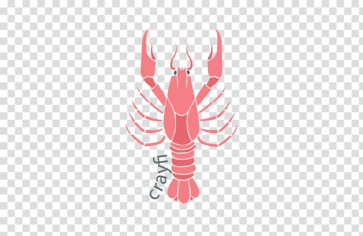 Seafood Crab Oyster Illustration, lobster transparent background PNG clipart