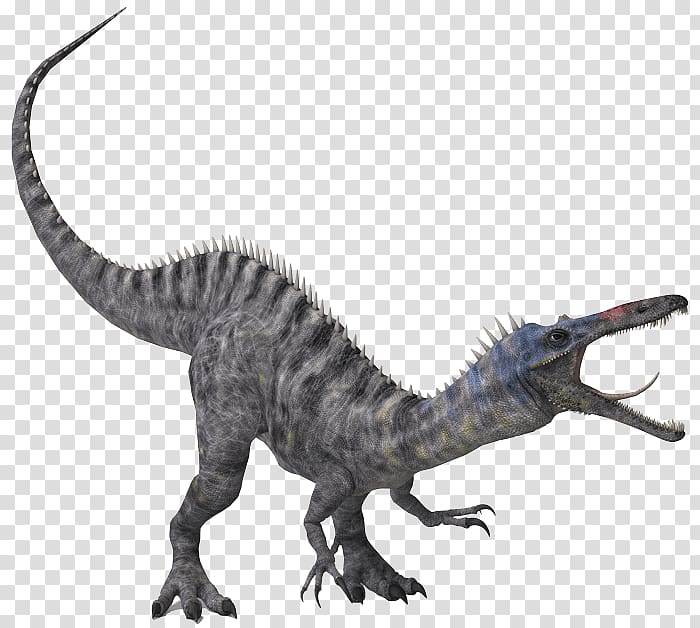Baryonyx Velociraptor Tyrannosaurus Stygimoloch Triceratops, dinosaur transparent background PNG clipart