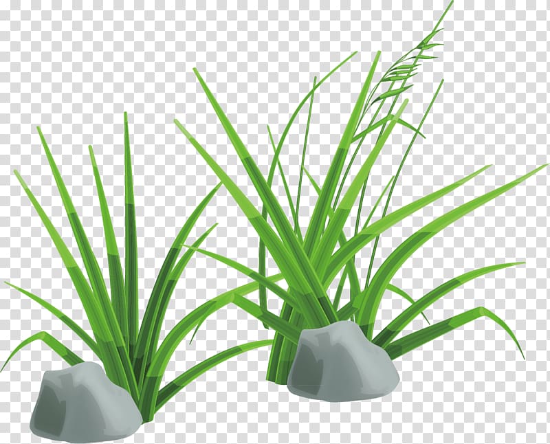 , Green grass material transparent background PNG clipart