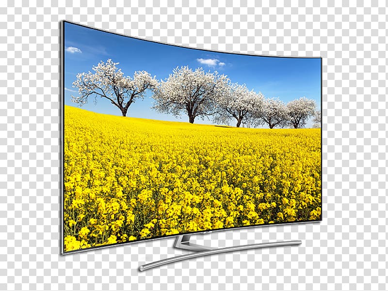 Canola Landscape Television, Cashback transparent background PNG clipart