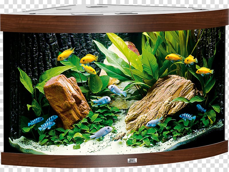 Aquarium Filters Goldfish Juwel Heater, others transparent background PNG clipart