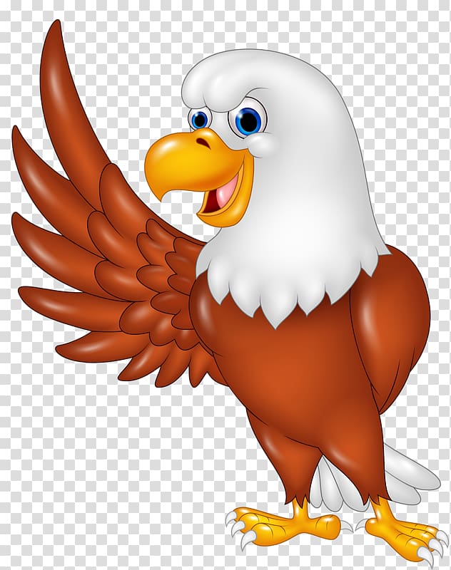 Eagle, philippine eagle transparent background PNG clipart