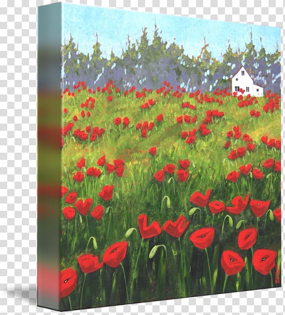 Common poppy Painting Art Acrylic paint, poppy field transparent background PNG clipart