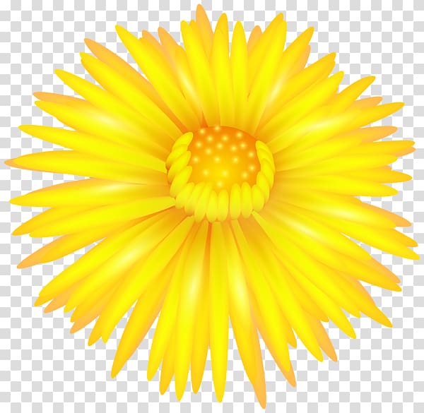 , Flower Yellow transparent background PNG clipart