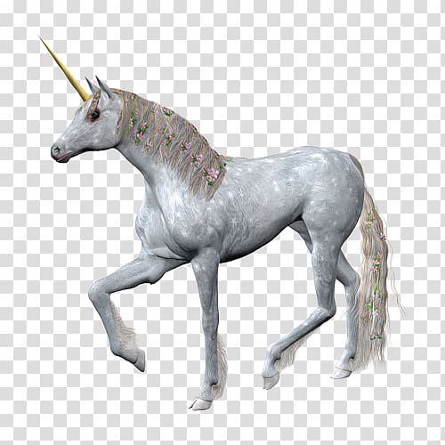 Unicorn Horse Horn Portable Network Graphics, unicorn transparent background PNG clipart