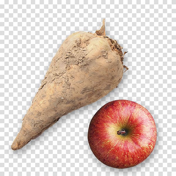 Sugar beet Canisius Apple butter Root Vegetables, sugar transparent background PNG clipart