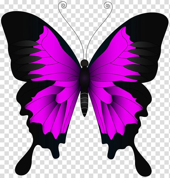 Butterfly Insect Green , pink butterfly transparent background PNG clipart