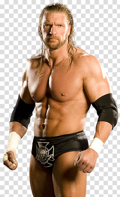 Triple H WWE \'12 WWE Superstars WrestleMania 29 WWE \'13, hornswoggle tna transparent background PNG clipart