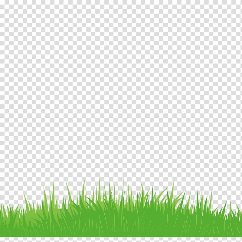 Euclidean Icon, green grass decoration transparent background PNG clipart