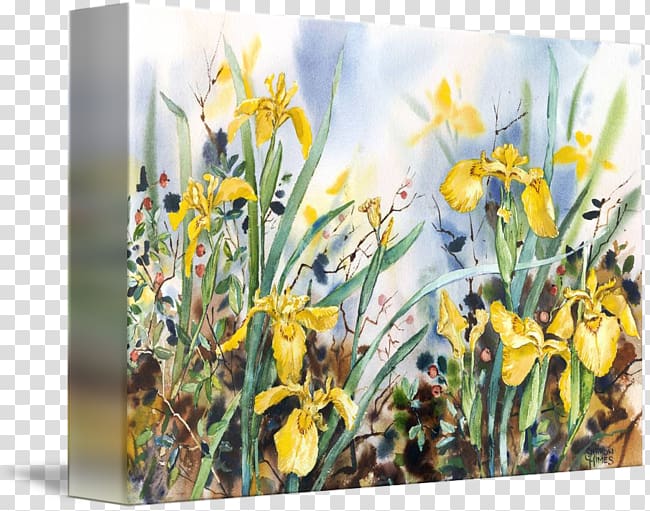 Floral design Narcissus Wildflower, design transparent background PNG clipart