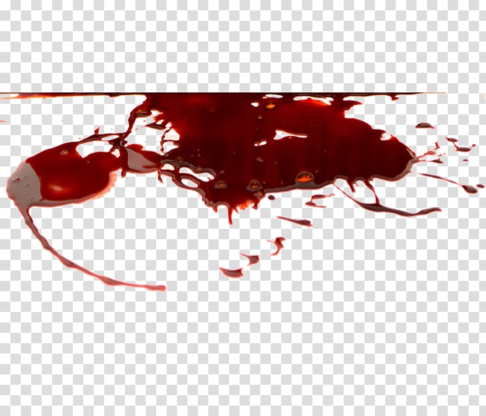 Don't Starve Together Bloodstain pattern analysis, Blood transparent background PNG clipart