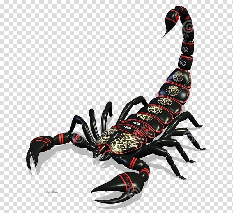 Scorpion Drawing, Scorpion transparent background PNG clipart | HiClipart