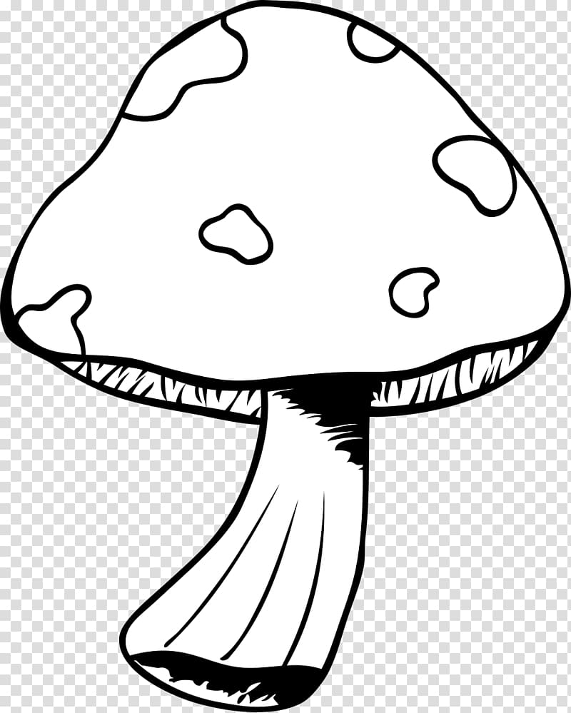 Free: Mushroom Drawing Illustration, mushroom,lovely,Cartoon,color  transparent background PNG clipart - nohat.cc