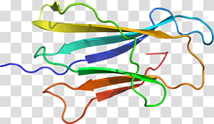 Line Point Organism , line transparent background PNG clipart thumbnail