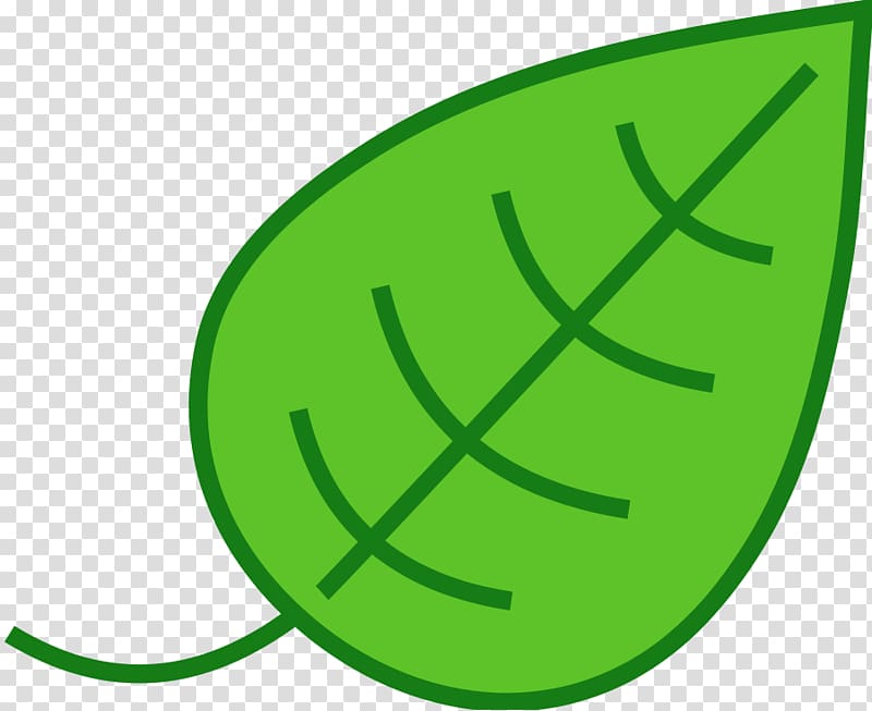 Leaf Green , Leaf transparent background PNG clipart