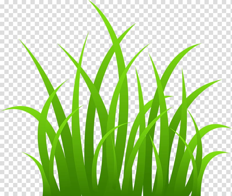 green grass , Free content , Animated Grass transparent background PNG clipart
