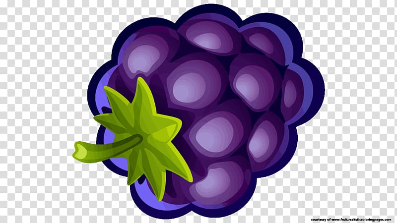 Grape Blueberry pie Muffin , grape transparent background PNG clipart