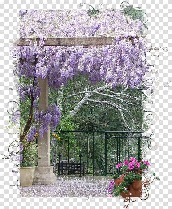 Wisteria Tree Landscape Plant Violet, landscape painting transparent background PNG clipart