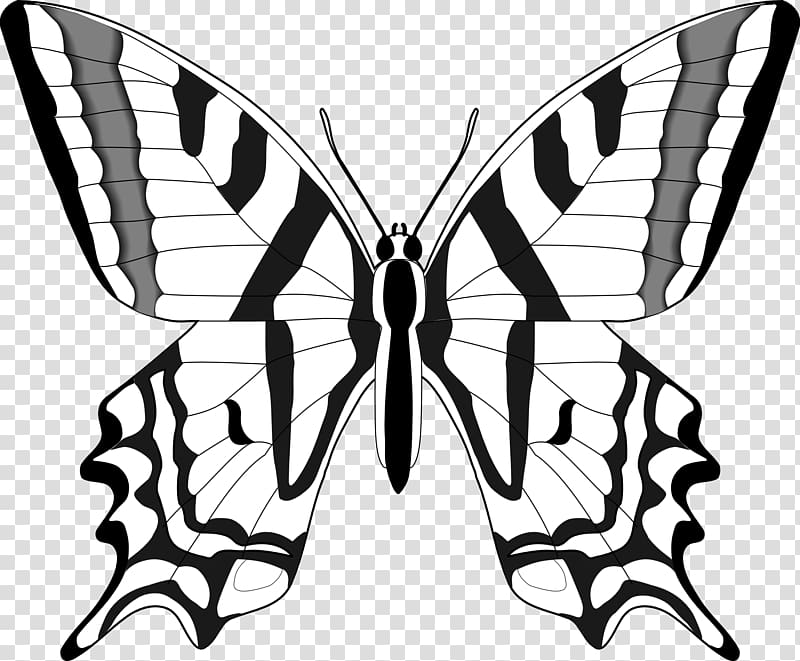 Monarch butterfly Black and white , Kenzi transparent background PNG clipart
