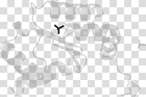 Organ Font, design transparent background PNG clipart thumbnail