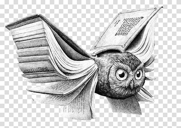 Owl Drawing Book Art Illustration, Creative illustration, Owl transparent background PNG clipart