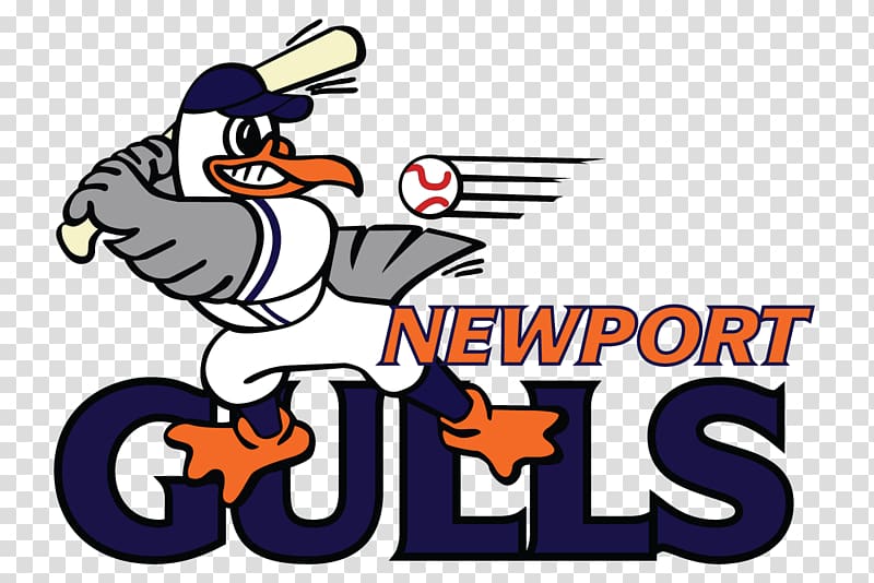 Middletown Cardines Field Newport Gulls New England Collegiate Baseball League, gull transparent background PNG clipart