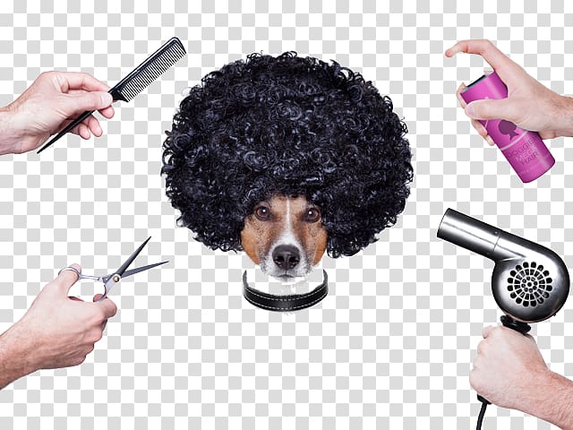 Comb Dog grooming Day spa, pet spa transparent background PNG clipart