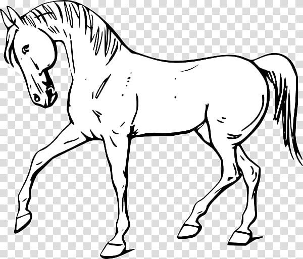 black and white clipart horses